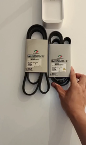 6PK1630 Original Perodua Myvi Lagi Best 1.5cc 2010-2017 Proganti Fan Belt V Belt 9004A-54R20