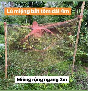 lú miệng 2p rộng 2m bắt tôm đuôi lú 15p chiều dài 4 met