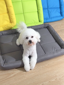 JanyPaw Cooling Pet Bed Waterproof Dog Bed Cat Bed 600D Oxford Fabric Washable Pet Mat Raised Edge Non Slip Cushion for Dogs Cats