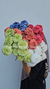 Bunga Artficial Dekorasi Peony Sutra 7 Cabang