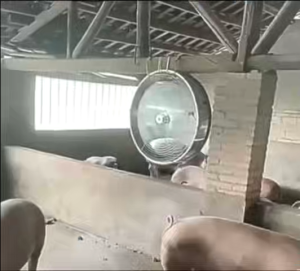 AdjustableSpeed MovableFan with Wheels High Wind forGrain Winnowing Factory and Breeding Ventilation