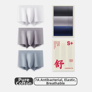 THREEGUN | Cotton Antimicrobial Youth Large Size Student Sports Underwear