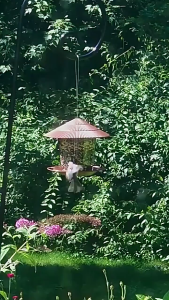 COASTE Waterproof House Type Flying Animal Garden Outdoor For Pet Feeding Tool Bird Supplies Bird Feeder Food Container