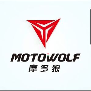 MOTOWOLF Motorcycle Knee & elbow Pads Off-road Mtb Gear Mdl1010