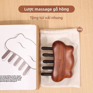 Brainbow | Cái Tăm Chải Massage Gỗ Hồng Đào cho Máu Dưỡng Da Đầu
