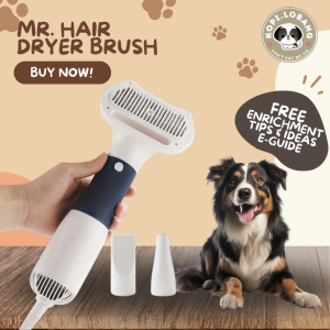 ✅[SG] MR. HAIR DRYER BRUSH ★ FOR DOG AND CAT FREE Enrichment Tips & Ideas e-Guide Worth $7 ★ Pet Enrichment ★ SG Stock ★ Kopi Lobang