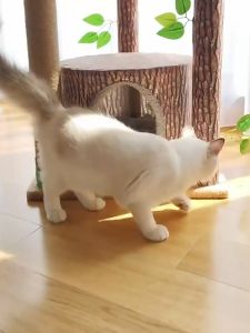 Forest Cat Climbing Frame Maple Forest Cat Nest Cat Tree Integration Large Villa Four Seasons Sisal High Rise Cat Toy Cat Scratch Board