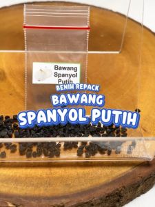 Benih Bawang Spanyol Putih Unggulan Berkualitas