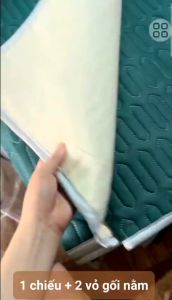 🐟Siêu đẹp - mát lạnh mịn🐟 Bộ chiếu điều hòa cao su thiên nhiên mát mịn bề mặt trên là vải Tencel có tặng kèm 2 áo gối có thể bỏ vào máy giặt giặt như bình thường quần áo Shop Nệm tốt