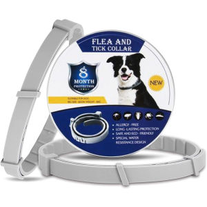 Pet Flea Collar 8 Month Lasting Protection Anti Insect Flea Tick Collar For Pet Dog Cat Accessories Pet Cat Detick Anti Insect Tick And Flea Killer