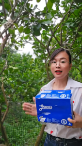 Kem đánh răng trẻ em - người lớn thảo dược hữu cơ Grants - 3 hộp keo ong việt quất trắng răng