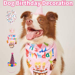 Pet Party Birthday Costume Cat Dog Birthday Hat Triangle Towel Scarf Dog Birthday Decoration