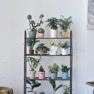 Plant Stand Indoor Outdoor Plant Shelf 4 Tier Metal Corner Flower Stand Holder For Patio Garden-CZH