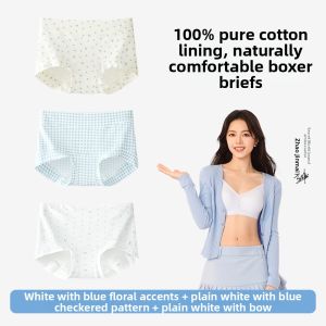 Secret World | Cute Full-Coverage Womens Panties Cotton Crotch Anti-Bacterial Seamless