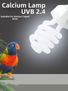 Parrot Supplies UVB Calcium Supplement Light Indoor Birds for Baby Parrots Tiger Quail Phoenix Special Purpose Lighting
