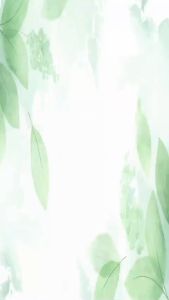 Kệ gỗ 3 ngăn Enter KG403 A4 lắp ráp