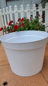 chậu nhựa vân gỗ đường kính 25cm nhiều màu trồng hoa siêu đẹp