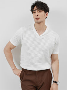 Premium Feel Ice Silk Thin Short Sleeve Mens Polo Shirt Summer Knitted T-Shirt Youth Fashion Slim Fit Casual Wear
