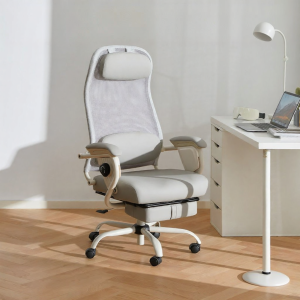 BOJOJAN | Ergonomic Computer Chair for Rest Office Home Comfort Long Sitting Study
