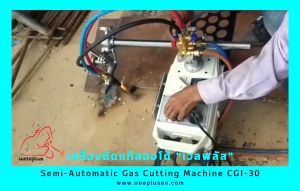 เครื่องตัดเดินตามราง เครื่องตัดเต่าออโต้เดินตามราง CG1-30B (Gas Cutting Machine WELDPLUS)