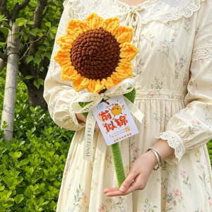 QIWEILANG | Graduation Gift Handicraft
