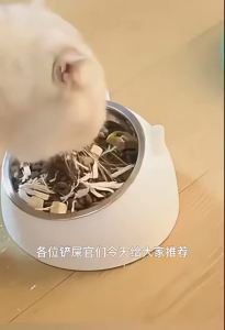 15° Tilted Stainless Steel Cat BowlNon-slip Base Anti-Spill Pet Drink Water Feeder For Pet Dogs-100/200/400ml Neck Protection