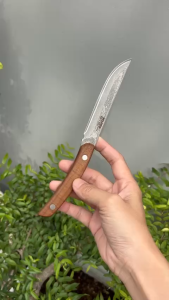 Dao gọt hoa quả dao gọt trái cây cán gỗ thiết kế cong độc đáo