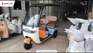 Selis Toraja Sepeda Listrik Roda 3 dengan Power Motor 500W & Battery 48V 20Ah