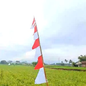 BENDERA UMBUL MBUL MERAH PUTIH SABLON GARUDA