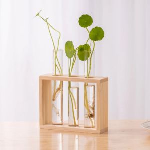 Bình Thủy Tinh Nhân Tạo Cây Thủy Canh Có Giá Đỡ Bằng Gỗ Thiết Kế Treo Tường Để Bàn Trang Trí Nhà Cửa Văn Phòng 3/5 Ống Trồng Cây