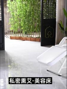 Portable Bed Facial Bed Massage Bed Foldable for Beauty Salon Beauty Salon Bed Multifunctional Folding Massage Tpy Bed 美容床