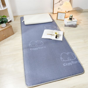 JoynCleon | Cool Thick Foldable Mattress