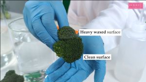 BERRYC Vegetable Fruit Cleaner (500ml) Plant Based Remove Synthetic Waxes Pesticide 清洗农药 清洗农残 天然配方 Baby Utensil