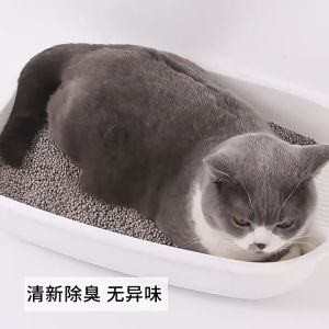 SELALUDIHATI 12 Liter Pasir Kucing Gumpal Wangi