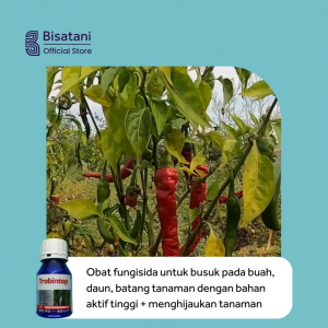 Trobintop 250ml Obat Patek Cabai Obat Jamur Busuk Buah pada Tanaman Cabe Tomat Obat Anti Busuk Buah Tanaman Ampuh