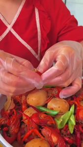 Glove Disposable 200Pcs Disposable PE Gloves Plastic Kitchen Hand Cleaning Sarung Tangan Plastik Pakai Buang Sarung Tangan Plastik 一次性手套 创意独立包装手套一次性