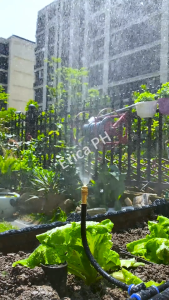 Automatic Misting Irrigation Kit with Timer & Electric Brass Valve 9/12mm PE Pipe Atomizing Nozzle DIY Irrigation Set