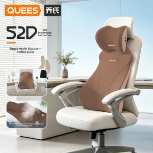 QUEES | Ergonomic Back Support Pillow