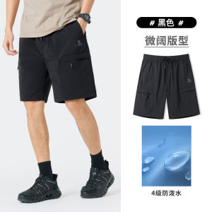 Camel Mens Workwear Shorts Summer Straight Leg Waterproof Casual Sports Five-Quarter Length Pants Youth Active Daily Nylon