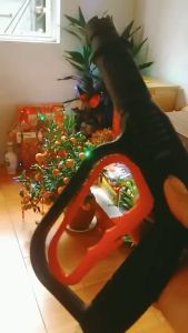 Súng rửa xe áp lực cao lõi kim loại ren 22mm phổ thông chuyên dùng cho máy rửa xe mini gia đình