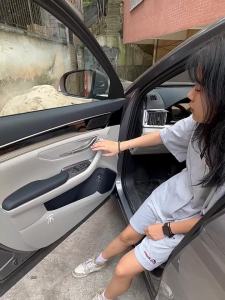 BYD Sealion 6 DMI EV: Optimal Door Storage Solutions & Car Supplies