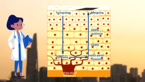 Lotion dưỡng trắng da Mona Frema White- Equation Reinforcing Concentrate