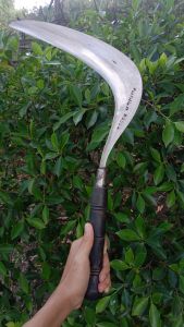 Aritt Pemanen Rumput