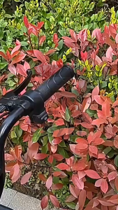 ROZEL Tali Kait Gantungan 2 Hook Sepeda Motor Sepeda Kereta Dorong Stroller Bayi Berputar 360 / Gantungan Kait Serbaguna Multifungsi Kuat Kokoh / Pengait Tas Belanja