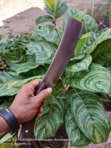 coper cacah terbaru pb 20cm