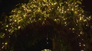 39-99ft LED Solar Light 100-300 Lights Outdoor Waterproof Fairy Garland Lights Christmas Party Halloween Decorations Solar Light
