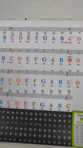 Transparent Piano Keyboard Stickers Electronic Keyboard Key Piano Stave Note Sticker Symbol for White 49/54/61/88 color