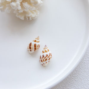 INS Natural Conch Starfish Shell Coral Photo Props Marine Mediterranean Decoration Ornaments Photographic Background Cloth