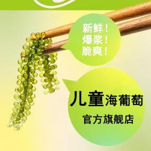 Green Caviar Seaweed Snack for Kids Instant Swell Freshly Salted Flagship Product Child Friendly Seafood Treat Organic Free