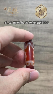 【起玺Qi Xi】指引财路/吸引贵人- 扎基两眼红肉老天珠 Zaki Two-eye Red Flesh Old Dzi Bead